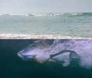 Huge Shark 2021 Hindi Dual Audio Movie – Download HD TORREN 2 01 huge shark 2021 hindi dual audio english movie–download hd torrent