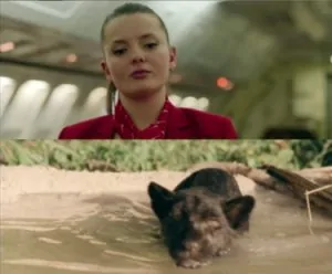 Autumn and the Black Jaguar 2024 Hindi ORG Dual Audio Movie 4 03 autumn and the black jaguar 2024 hindi org dual audio movie download in moviesgala