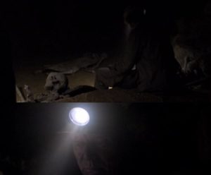 The Deep Dark 2023 Movie Hindi Dubbed 6 05 the deep dark 2023 hindi dubbed movie download in movies